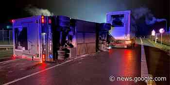 Kreis Soest: Schweinetransporter kippt um - 12 Tiere sterben - Ruhr Nachrichten