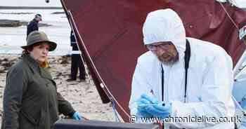 Vera's Paul Kaye to bow out of ITV drama as replacement confirmed