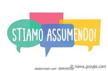 Notaio cerca persona da assumere - Crema News