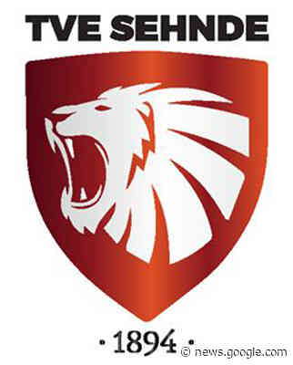 Erste Damen des TVE Sehnde siegt mit Herrencoach in Immensen - Sehnde-News