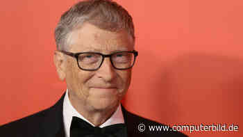 Was Bill Gates' neues Investment mit rülpsenden Kühen zu tun hat