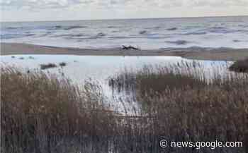 Il fiume Borraco senza sbocco a mare, pericolo allagamenti - LaVoce
