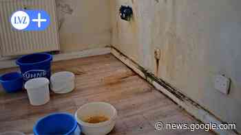 Torgau Nordwest: Mieterin lebt in Horror-Wohnung ohne Strom und mit Schimmel - Leipziger Volkszeitung