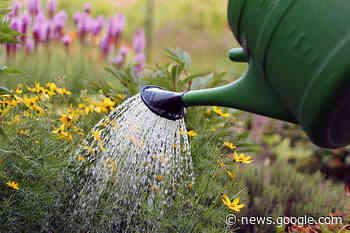 Schon wieder Einbrüche in Gartenlauben in Paderborn - Radio Hochstift