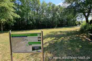 Bürger in Warburg können Bedenken vorbringen