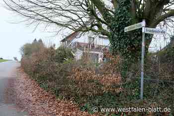 Für jeden Bedarf etwas: In Hiddenhausen entstehen 17 neue Wohnungen