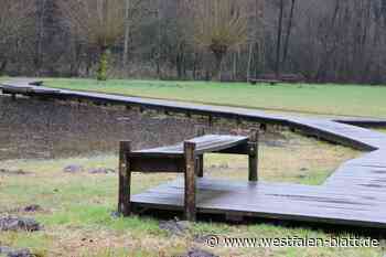 Prozess in Bielefeld wegen Totschlag-Verdachts: Opfer (47) sagt aus