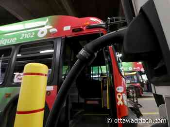Denley: Warning — speed bumps ahead for Ottawa's electric bus plan