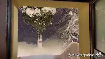 Cronaca meteo diretta - Emilia Romagna. Risveglio sommersi dalla ... - 3bmeteo