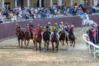Ferrara, il Palio 2023 sarà di sera Gazzetta di Reggio - Gazzetta di Reggio