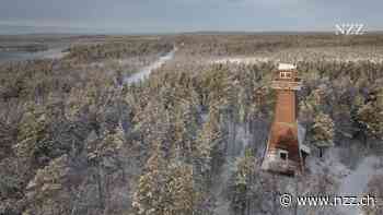 Die Flucht des Wagner-Deserteurs Medwedew stellt Norwegen vor heikle Probleme