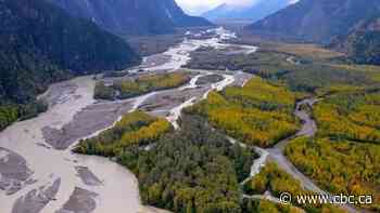 First Nation declares protected area in northern B.C.'s Taku River watershed