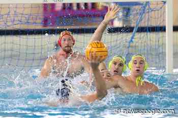 Lo spauracchio Trieste per il Brescia, Telimar-Savona promette ... - Waterpolo Development World