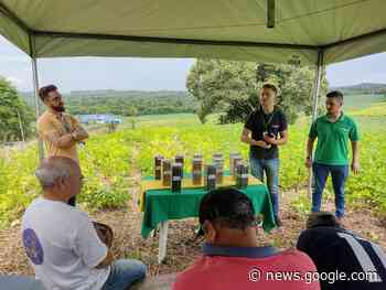 Tarde de Campo em Irati discute tendências nas produções de ... - Folha de Irati