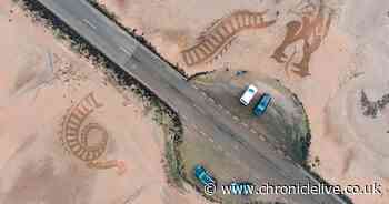 Terrifying sea serpent appears to warn drivers off crossing Holy Island Causeway at high tide