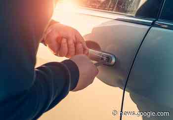 Munster: Mehrere Fahrzeuge beschädigt; Bad Fallingbostel ... - Aktuelles für Deutschland