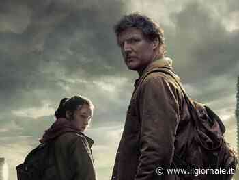 Che cosa c'è di vero sui funghi di "The Last of Us"