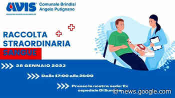 È ancora emergenza sangue a Brindisi: Avis organizza raccoltra ... - BrindisiSera