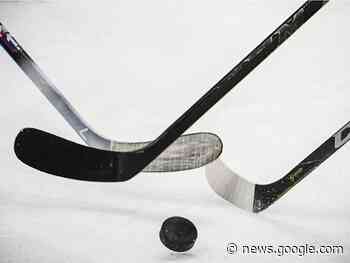 Blades lose OT decision to visiting Moose Jaw - The Crag and Canyon