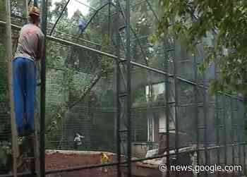 Reformas em zoológico de Cascavel deve trazer mais bem-estar ... - Tarobá News