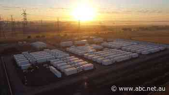 Spot power prices tumble as renewable share of energy mix reaches new highs