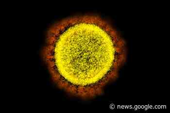 Fact check: No, coronavirus is not a Latin word for 'heart attack virus' - Yahoo News