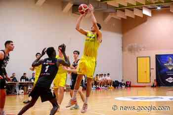 Verona Under 19, vittoria esterna contro Pordenone - MegaBasket