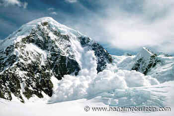 2 heli-skiers killed in avalanche near Revelstoke