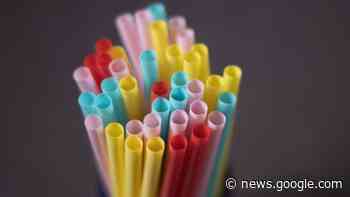 Calgary city council OK's single-use plastics bylaw - CBC.ca