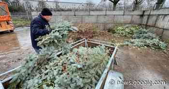 Friedhof Bonn-Mehlem: Zweite Annahmestelle für Grünschnitt ... - General-Anzeiger Bonn