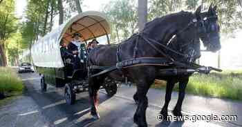 Gemeente organiseert huifkartocht en bloesemlounge tussen de ... - Het Laatste Nieuws