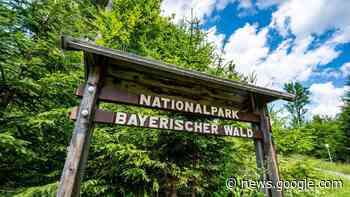 Erstmals Frau an der Spitze von ältestem Nationalpark - Süddeutsche Zeitung - SZ.de