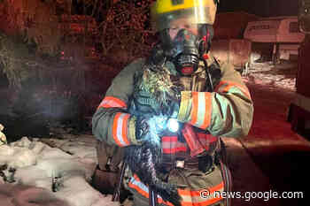 North Okanagan fire victims lose everything, no insurance - Salmon ... - Salmon Arm Observer