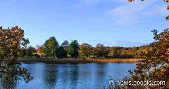 Hampshire's 'poshest village' with highest average house price in UK - Hampshire Live