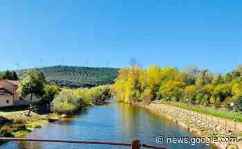 Incendio forestal en la provincia de Zamora, en el término de ... - eldiadezamora.es
