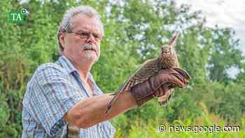 Apoldas Tierauffangstation: Zahl der Fundtiere nimmt wieder zu - Thüringer Allgemeine