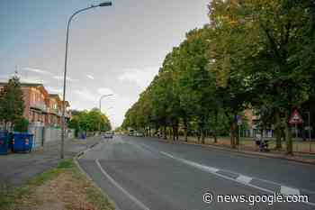 Censimento del verde a Soliera per programmare il futuro green del ... - Voce.it