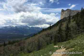 Nearly one-quarter of trails in southern B.C., Alberta unmapped and unmanaged: study