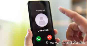 Households warned not to respond to 'toxic mould' scam after victims lose thousands