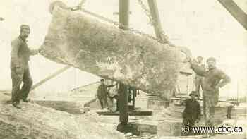 You rock, Manitoba limestone! Iconic building material gets global heritage designation