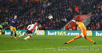 Southampton 0-1 Newcastle United player ratings: Nick Pope the main man yet again