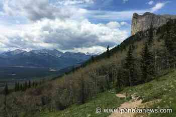 Nearly one-quarter of trails in southern B.C., Alberta unmapped and unmanaged: study
