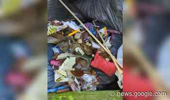 Clean-up door Partij voor de Dieren Woudenberg - DeWoudenberger.nl