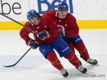 Lions winger Ryan Francis gets last-minute shot with Laval Rocket - The Intelligencer