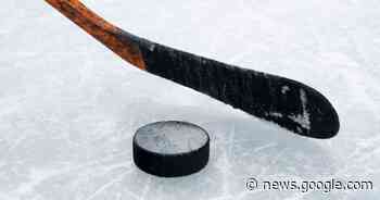 Cape Breton Cup tournament dates set for minor hockey divisions - SaltWire CB powered by Cape Breton Post