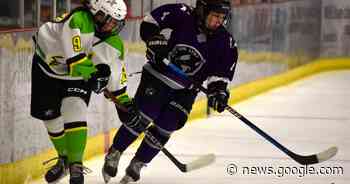 Cape Breton Lynx move into second place in MMFHL with win over ... - SaltWire CB powered by Cape Breton Post