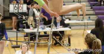 Girls gymnastics: Barrington brings home MSL crown; Rolling ... - Daily Herald