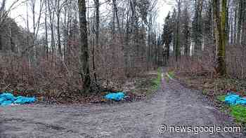 Konstanz: Was machen die Müllsäcke im Konstanzer Wald? - SÜDKURIER Online