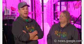 US (MN): Fillmore County family grows acres of crop in shipping ... - Vertical Farm Daily