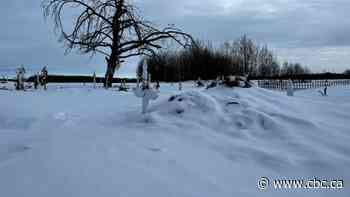 Tainted milk led to deaths of Alberta residential school children, group says